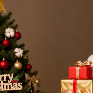 Holiday & Seasonal Gifts