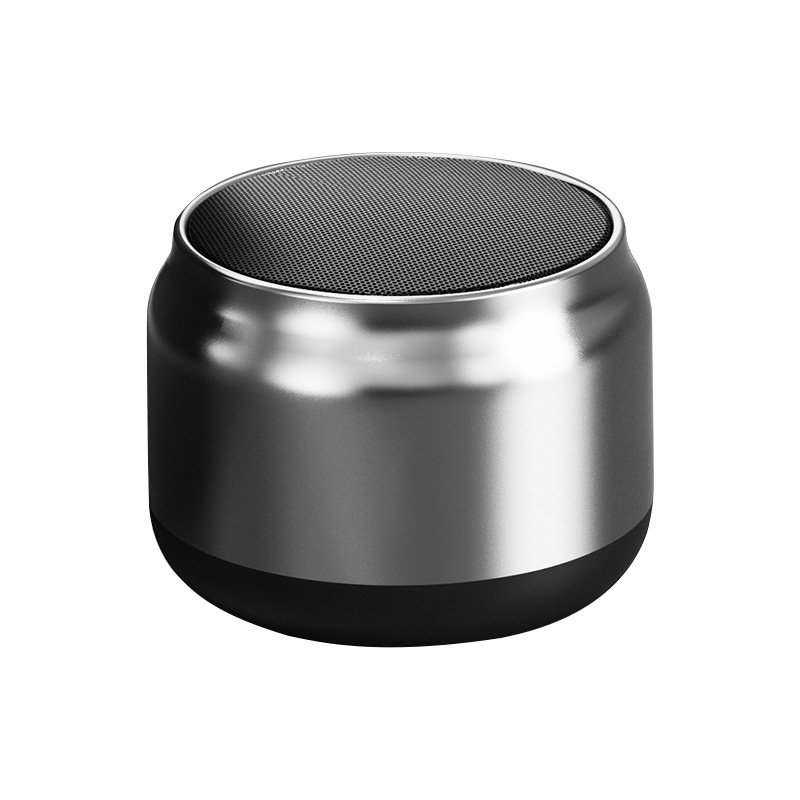 Mini Bluetooth Speaker